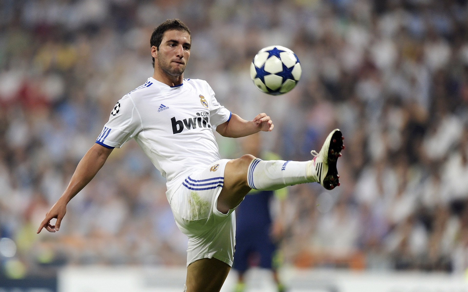 电竞赛事现场气氛火爆，粉丝尖叫不断，电竞赛事现场气氛火爆,粉丝尖叫不断